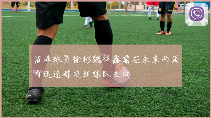 留洋球员徐彬魏祥鑫需在未来两周内迅速确定新球队去向
